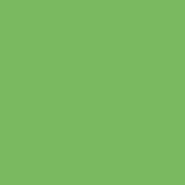 Forbo Sportline 3040 Classic Sport Flooring
