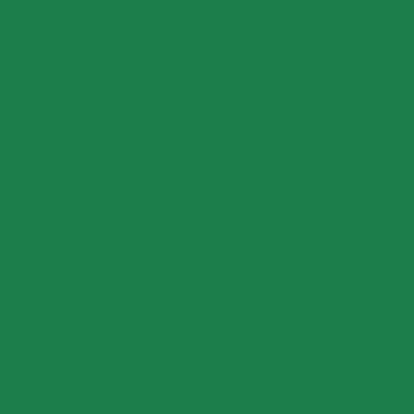 Forbo Sportline 5030 Classic Sport Flooring